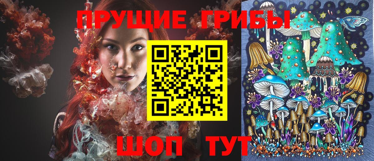 Псилоцибиновые грибы Cubensis  Вход с VPN  Биробиджан 